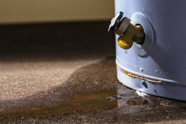 Best Water damage restoration company  in Glendale, CO