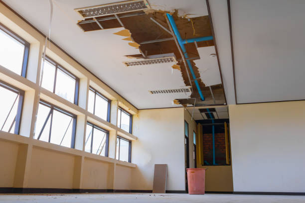 Best Water damage restoration near me  in Glendale, CO