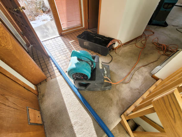 Best Professional water damage repair  in Glendale, CO