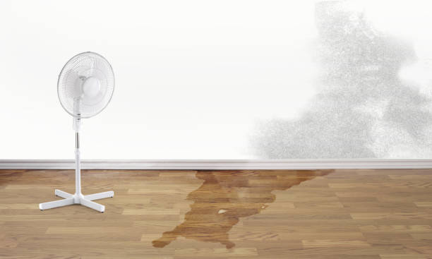 Best Water damage restoration insurance claims  in Glendale, CO