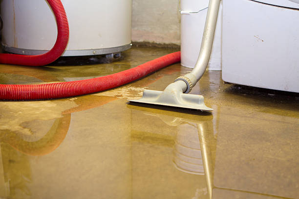 Best Local water damage restoration  in Glendale, CO