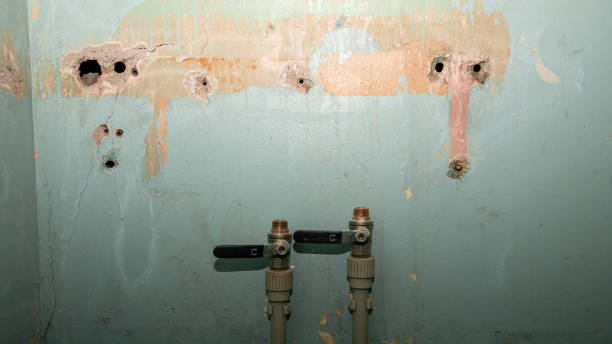 Best 24-hour water damage restoration  in Glendale, CO
