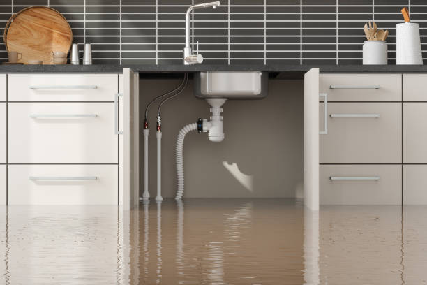 Best Mold removal after water damage  in Glendale, CO