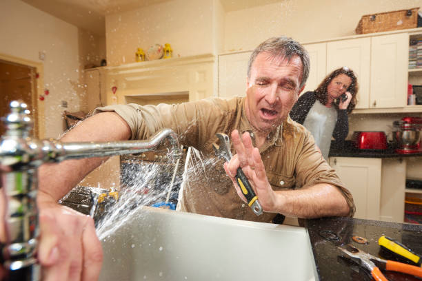 Best Mold removal after water damage  in Glendale, CO